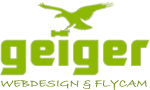 logo geiger